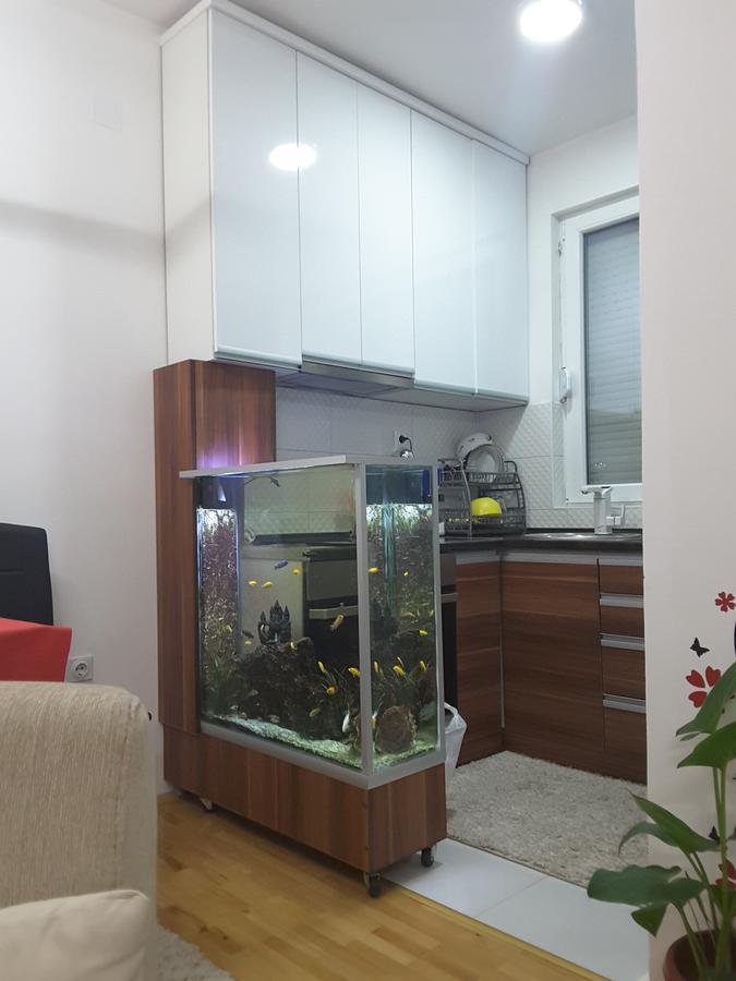 Apartment Βελεσά Εξωτερικό φωτογραφία