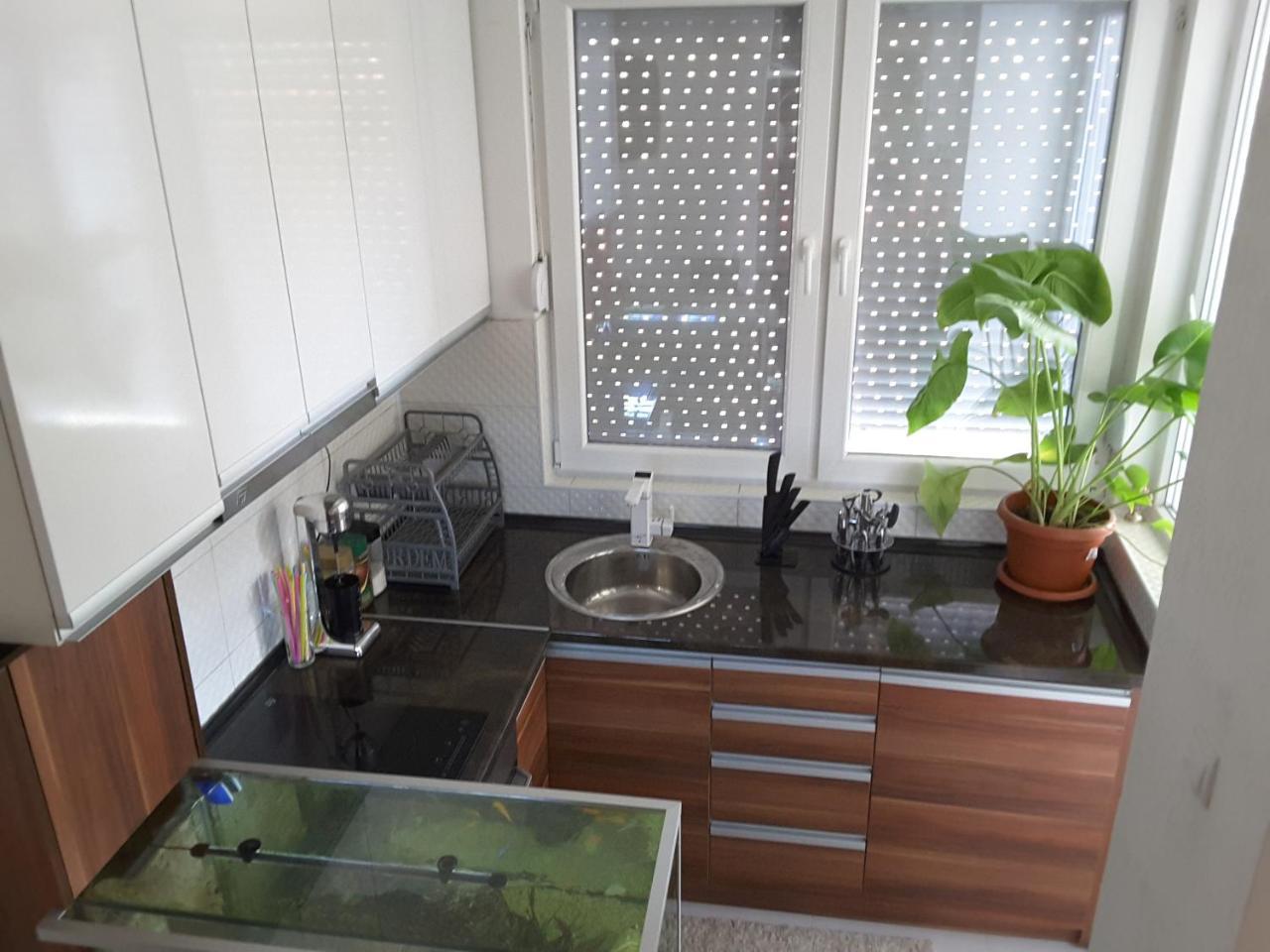 Apartment Βελεσά Εξωτερικό φωτογραφία